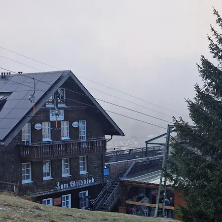 Willingenhome Willingen (Upland)