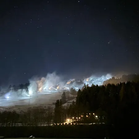 Willingenhome Willingen (Upland)