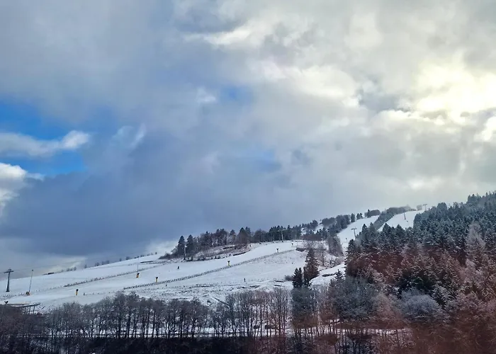 Willingenhome Appartement *