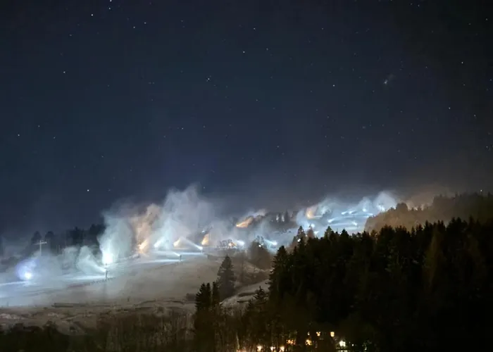 Willingenhome Willingen (Upland)